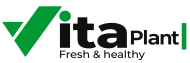 Vita Plant Fresh